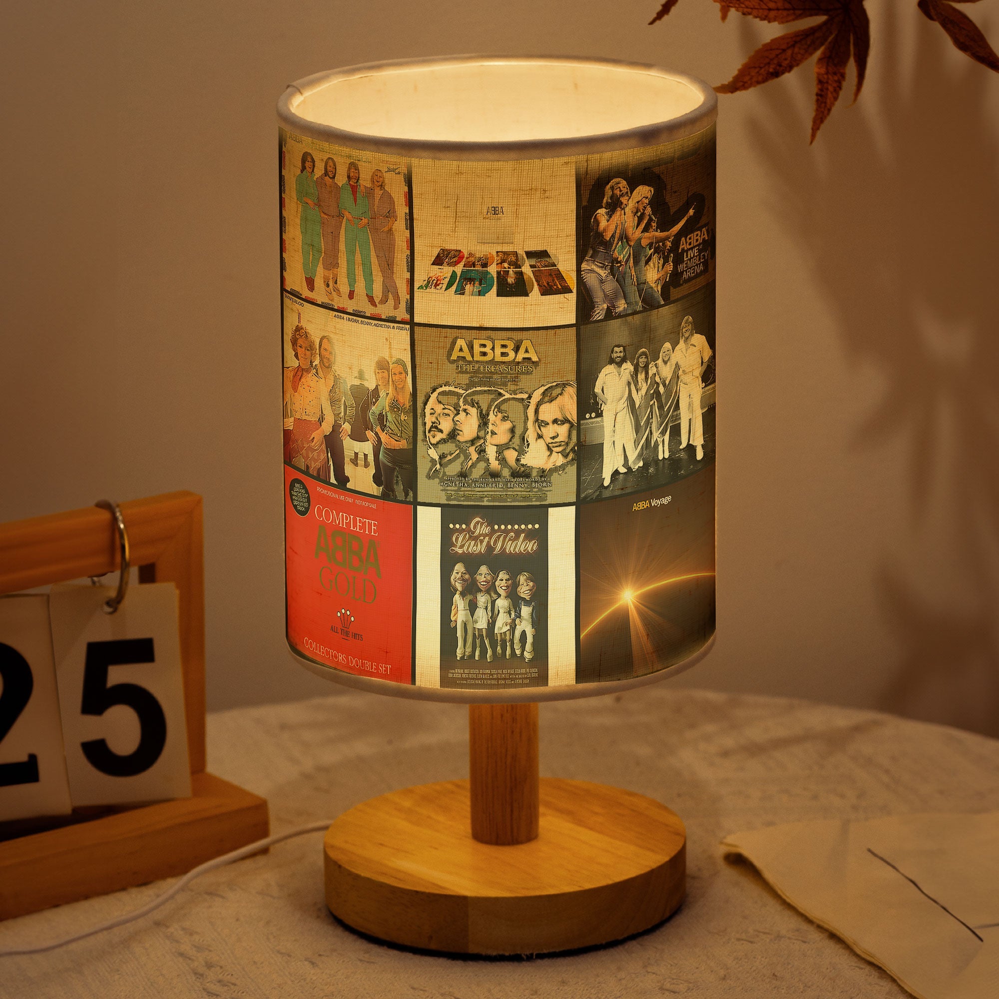 ABBA Album Cover Lamp Retro Disco Music Fan Table Light