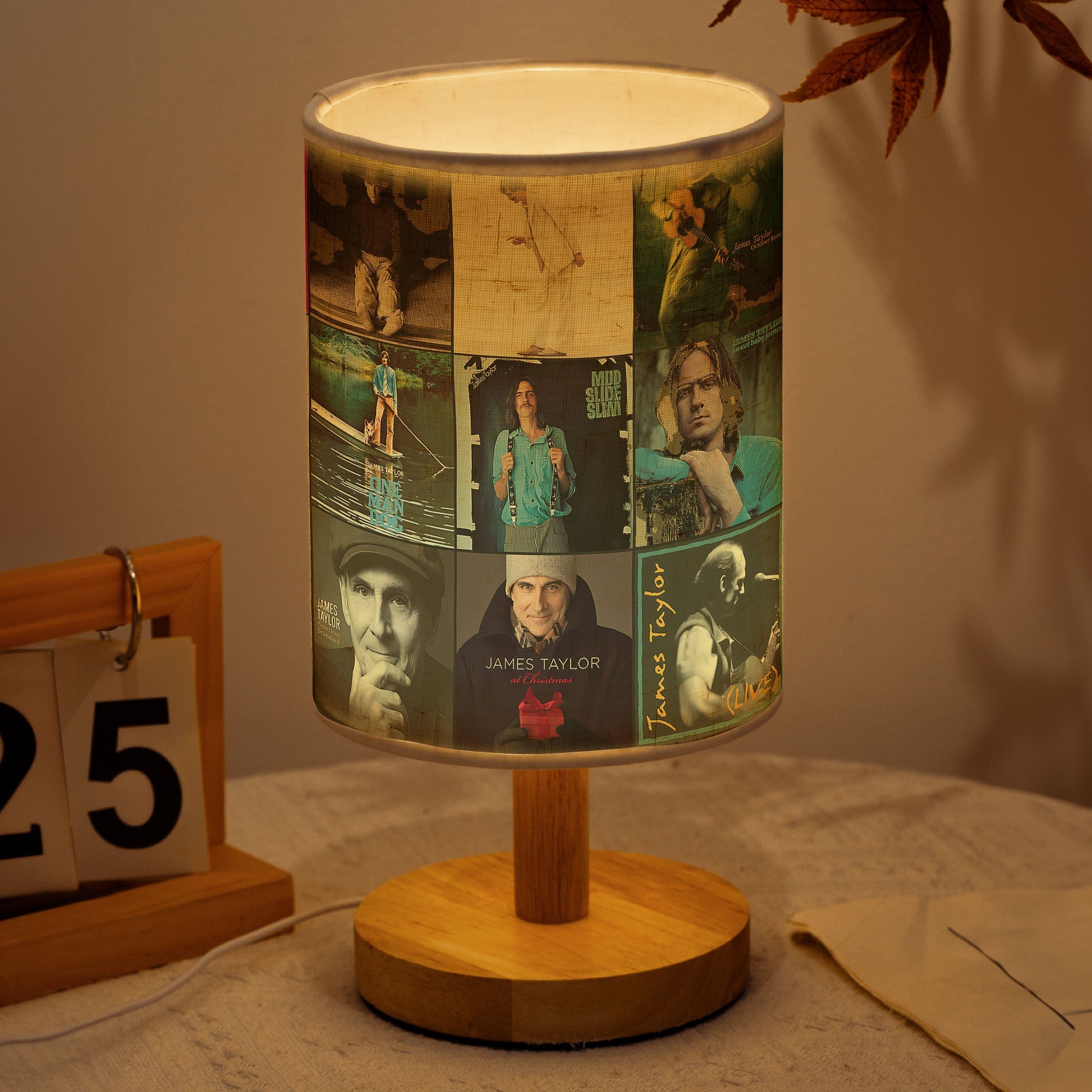 James Taylor Fabric Lamp The Warm Glow of Timeless Songs