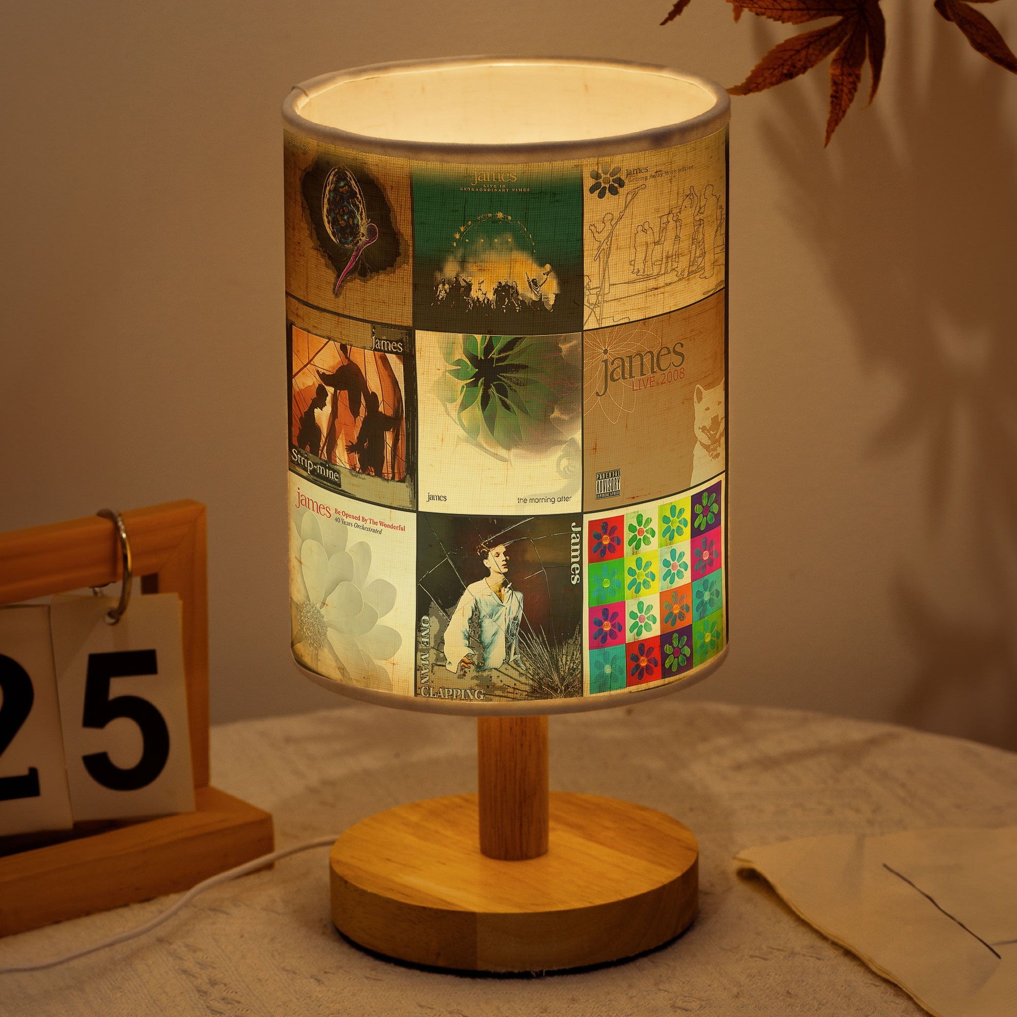 James Band Album Cover Fabric Lamp Handmade Retro Music Decor for Fans
