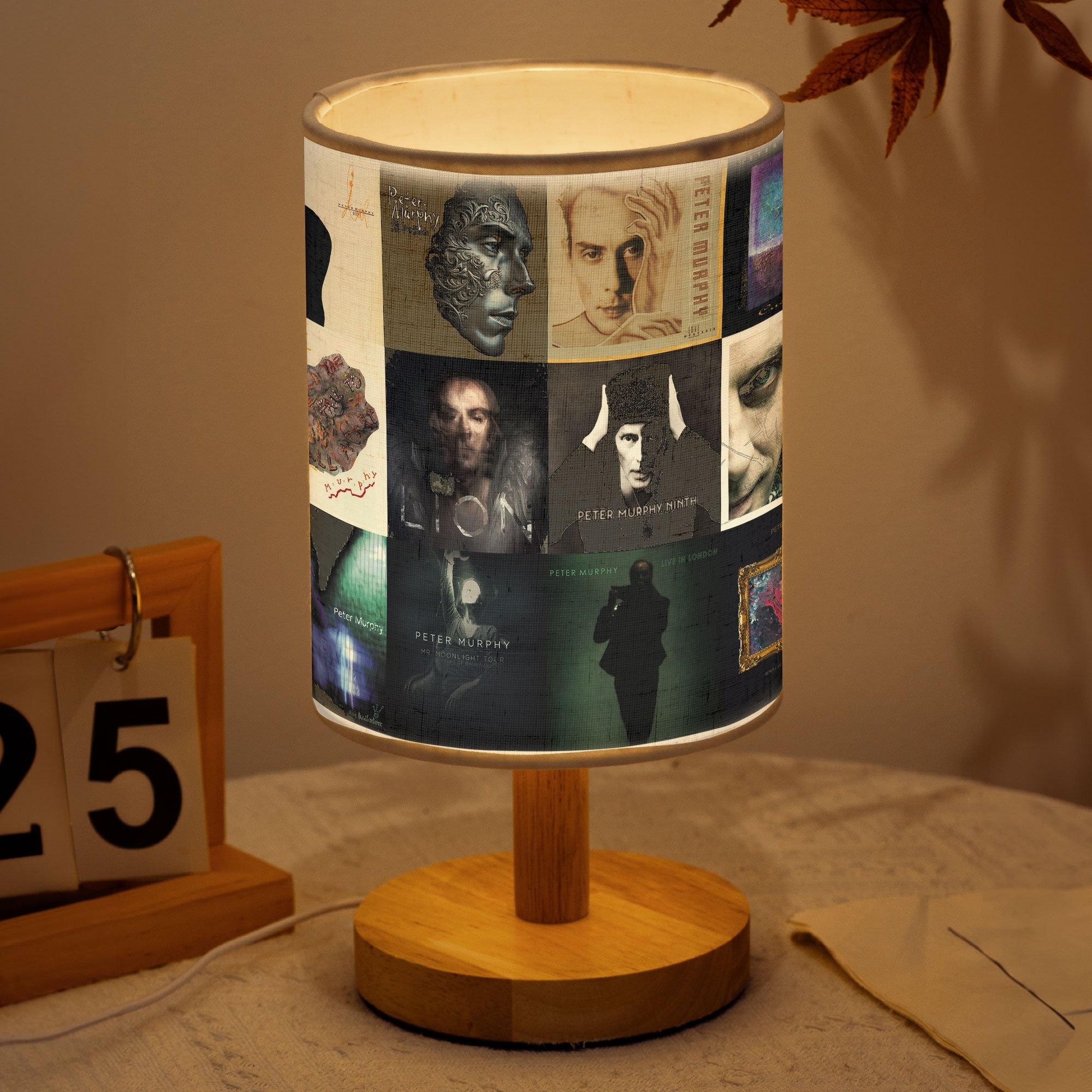 Peter Murphy Album Cover Lamp Gothic Rock Inspired Home Decor