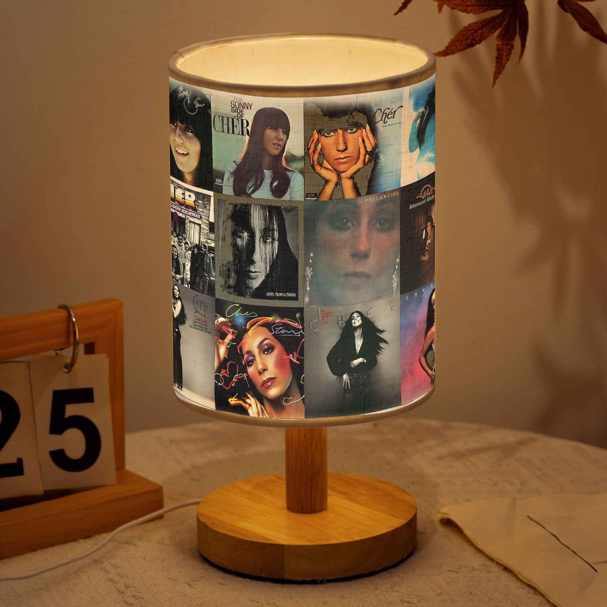 Cher Albums Fabric Lamp A Tribute to the Goddess of Pop ✨